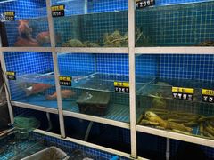 -金龙·打边炉(南京西路店)