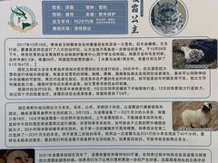 -青藏高原野生动物园