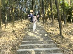 -火炉山森林公园