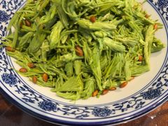 -鲁菜根·泰山菜(泰山店)