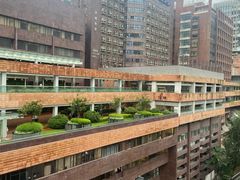-香港大学