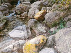 -南海湾森林生态园