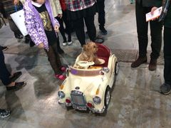 iphone_upload_pic-东浩兰生上海世博展览馆