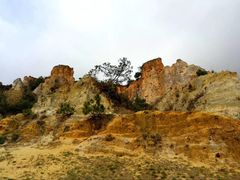 -彩色沙林风景区