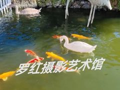 -罗红摄影艺术馆