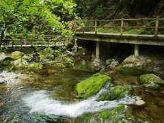 -牛背梁国家森林公园