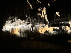 -怀托摩萤火虫洞