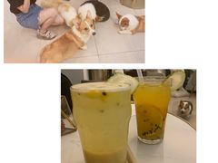 -gaga(深圳福田星河COCO Park店)