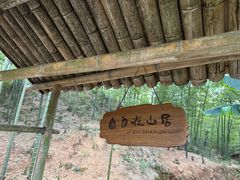 -蔡伦竹海