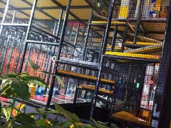 -嗨翻Hi-Fun竞技主题乐园·蹦床亲子生日轰趴(国光1937店)