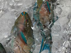 -AEON永旺(东方宝泰店)