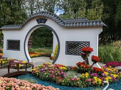 -上海共青森林公园