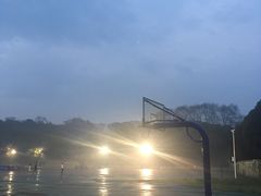 -武汉大学-樱园