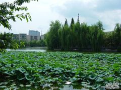 -西南交通大学(九里校区)