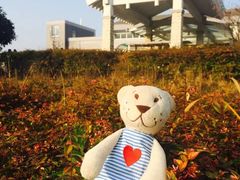 -苏体天云湖运动度假村