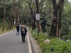 -广州雕塑公园