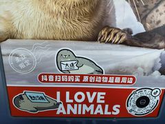 -大连圣亚海洋世界