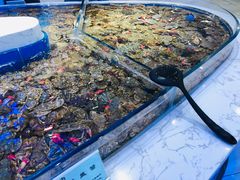 -澜悦港海鲜体验主题餐厅