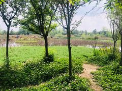 -白鹭湾湿地公园