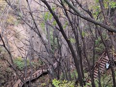 -大岭沟猕猴桃谷风景区