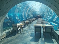 -海棠湾洲际-涛·海底餐厅·美人鱼·自助餐·海底隧道