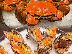 -香港狮子山下·明星粤菜餐厅(北苑店)