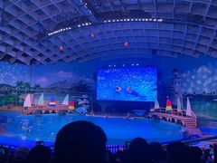 -海合安武汉极地海洋公园