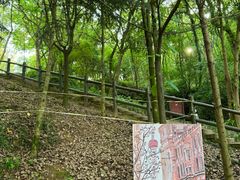 -上海佘山国家森林公园天马山园