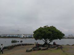 -台场海滨公园船码头