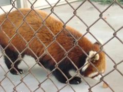 -祥源·阜阳生态乐园