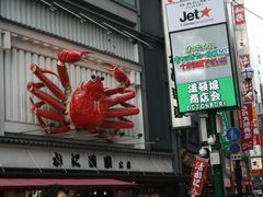 -道顿堀水上观光船(太左衛門橋船着場)