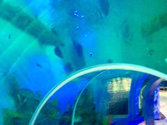 -瑞德姆美人鱼海底演艺主题餐厅(亚龙湾店)