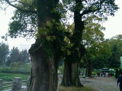 -龙环葡韵住宅式博物馆