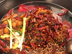 -四小区火锅·巷子里的重庆火锅(花照壁店)