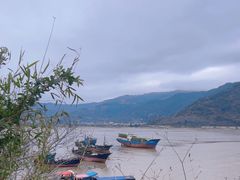 -北岐滩涂