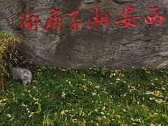-湘子庙