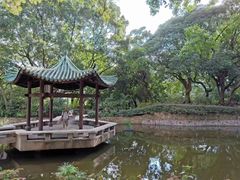 -九龙公园