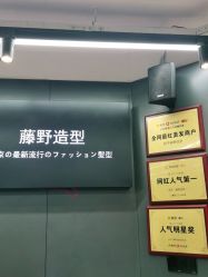 点击看大图 -藤野造型