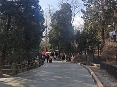 -浮来山风景区