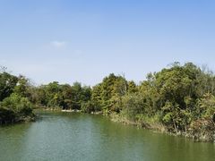 -上海吴淞炮台湾国家湿地公园