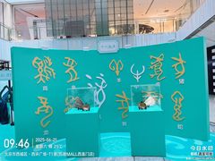 -凯德MALL(西直门店)