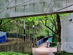 -月湖风景区