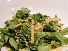 -宏宴·新京菜(望京店)