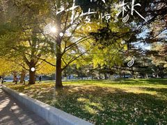 -中央民族大学