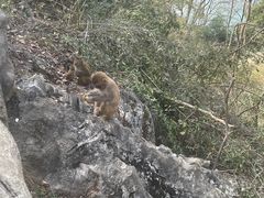 -千岛湖东南湖区
