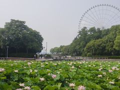 -蠡湖大桥公园