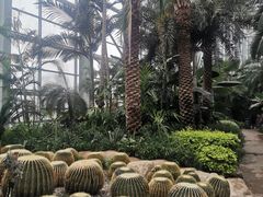 -祥源·阜阳生态乐园