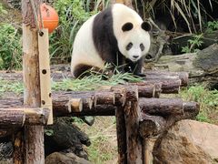 -宁波野生动物园