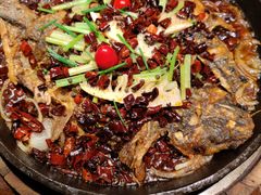 老板恋上鱼-老板恋上鱼(高新万达店)