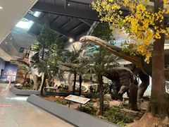 -湖南省地质博物馆